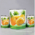 567g Canned Pineapple with Best Quality